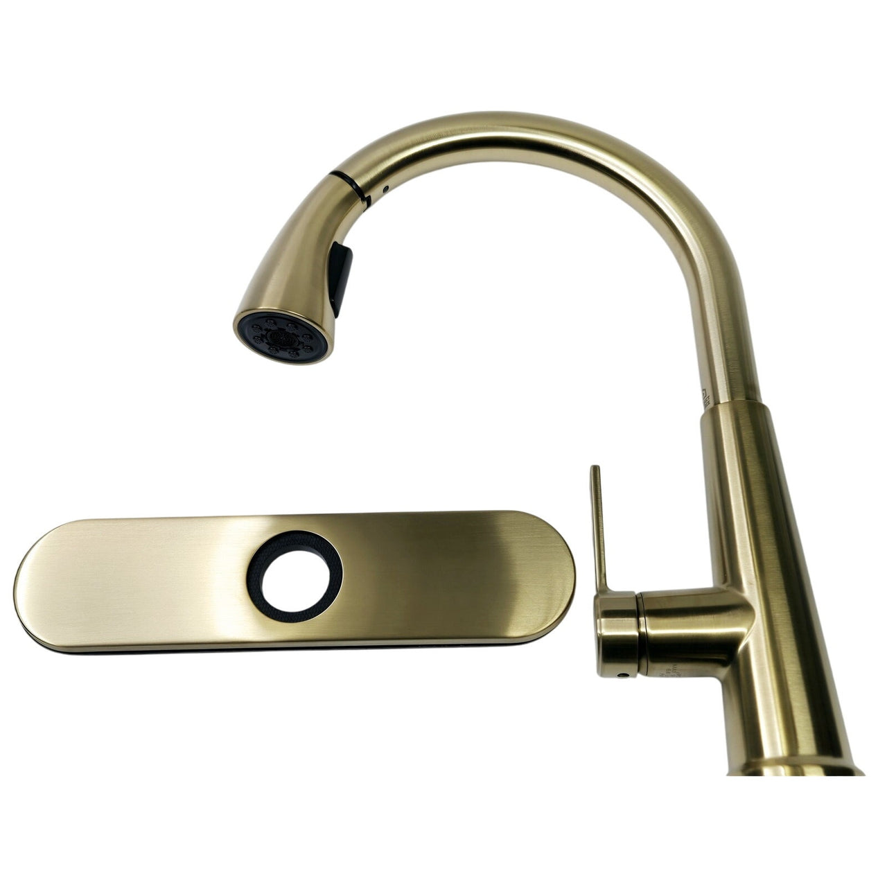 Project Source 5667894 Single Handle Kitchen Faucet - Brushed Gold *READ