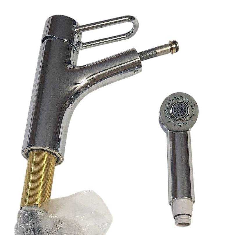 hansgrohe 04704005 Talis Loop Kitchen Faucet with Pull Out Sprayer - Chrome READ