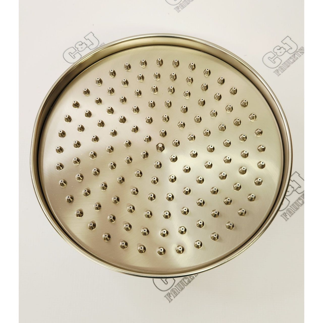 Signature Hardware 214372 Lambert Single Function Shower Head - Brushed Nickel