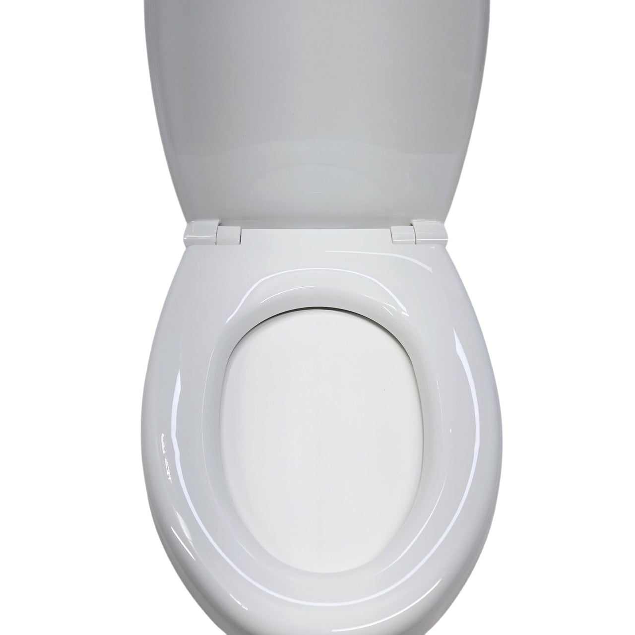 TOTO SS124#01 Transitional SoftClose Elongated Toilet Seat - Cotton White