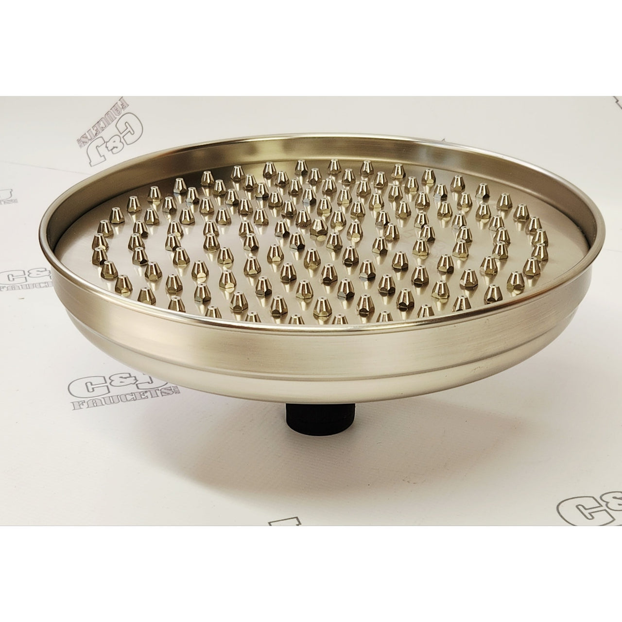 Signature Hardware 214372 Lambert Single Function Shower Head - Brushed Nickel