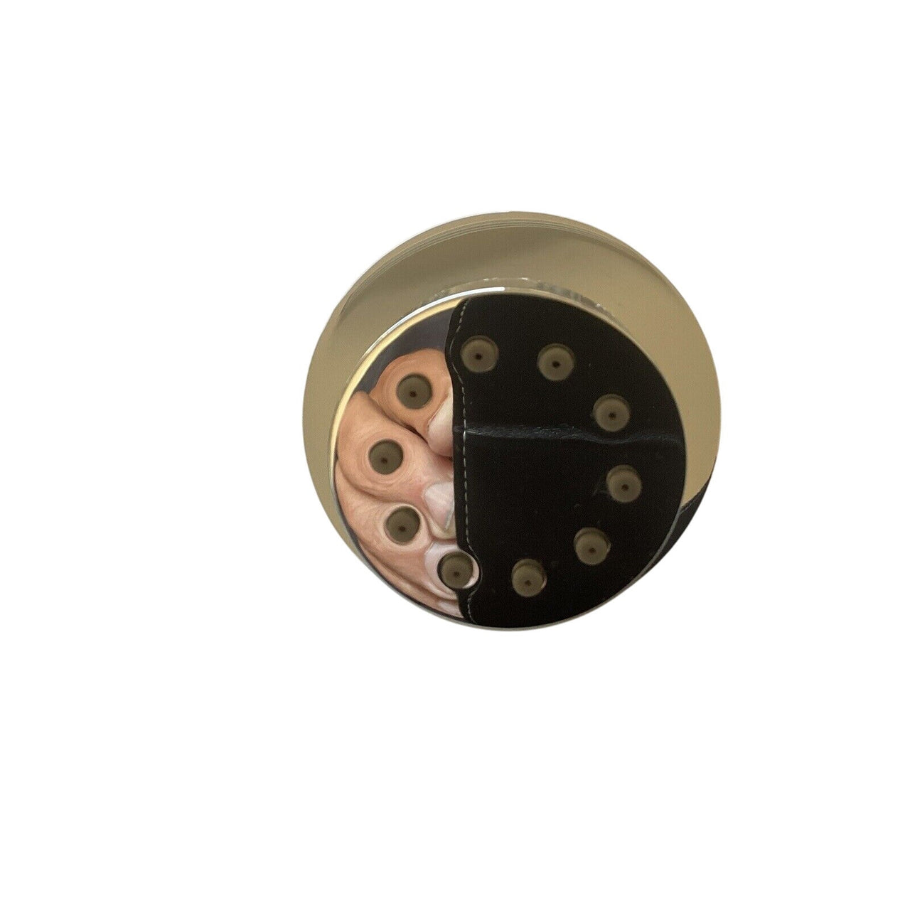 Signature Hardware 350719 Classic Swivel Body Spray - Chrome